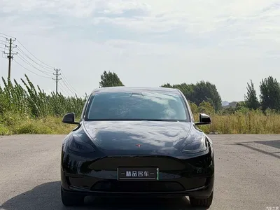 2022 Tesla Model Y Rear-Wheel Drive Version, фото 4, лот 10662236