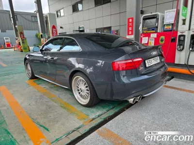 2009 Audi S5 4.2 FSI Quattro, фото 1, лот 10098503