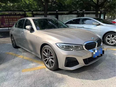 2020 BMW 3 Series 320Li M Sport Package, фото 2, лот 11243450