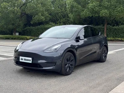 2024 Tesla Model Y Rear-Wheel Drive Version, фото 1, лот 10899711