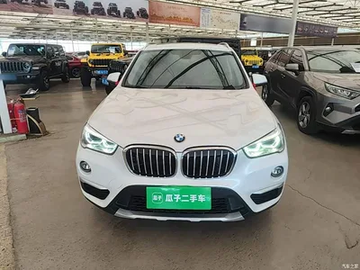2019 BMW X1 sDrive18Li Premium Model, фото 3, лот 10467428