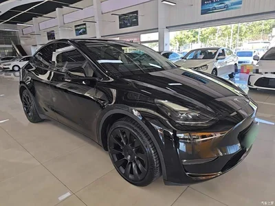 2021 Tesla Model Y Standard Range Rear-Wheel Drive, фото 4, лот 10375295