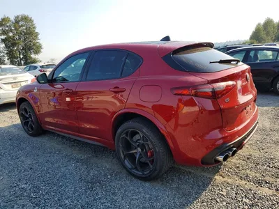 2019 ALFA ROMEO STELVIO QUADRIFOGLIO, фото 2, лот 10881887