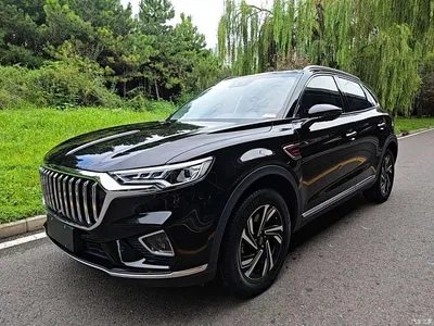 2022 Hongqi HS5 Facelift 2.0T Smart Flag Enjoyment Edition, фото 1, лот 10288679