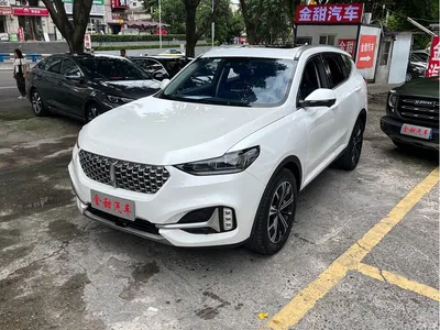2021 WEY VV6 2.0T 2WD Smart Enjoyment+, фото 3, лот 10451796