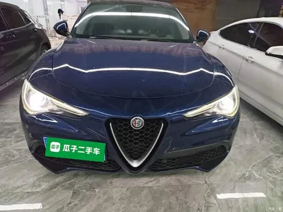 2017 Alfa Romeo Stelvio 2.0T 200HP Elite, фото 3, лот 11183272