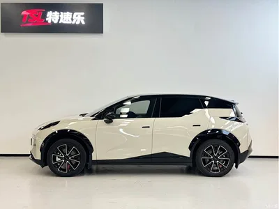 2026 ZEEKR X Model Five-Seater Rear-Wheel Drive Version, фото 3, лот 10291495