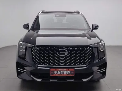 2025 GAC Trumpchi Trumpchi GS8 Pilot Series 2.0TGDI 2WD Luxury Edition 5-seater, фото 3, лот 11217623