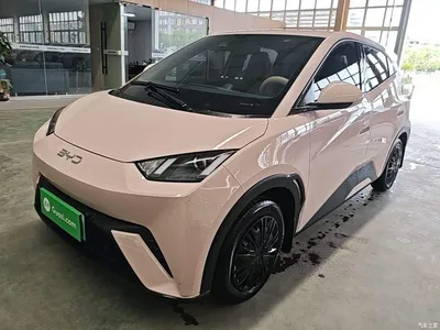 2024 BYD Seagull Glory Edition 305km Vitality Edition, фото 2, лот 10259209