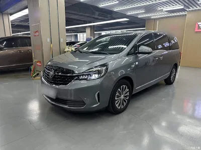 2021 Buick GL8 Land Business Class 652T Premium, фото 2, лот 10262295