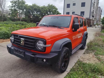 2021 Tank 300 Off-road Edition 2.0T Challenger, фото 1, лот 10344780