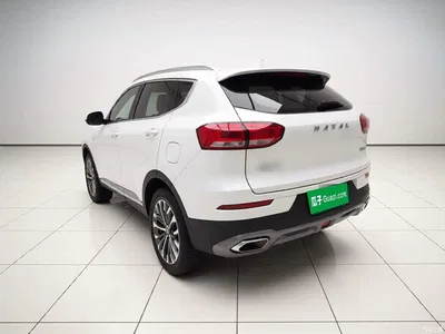2020 Haval H6 1.5GDIT Automatic Platinum Champion Edition, фото 4, лот 11097006