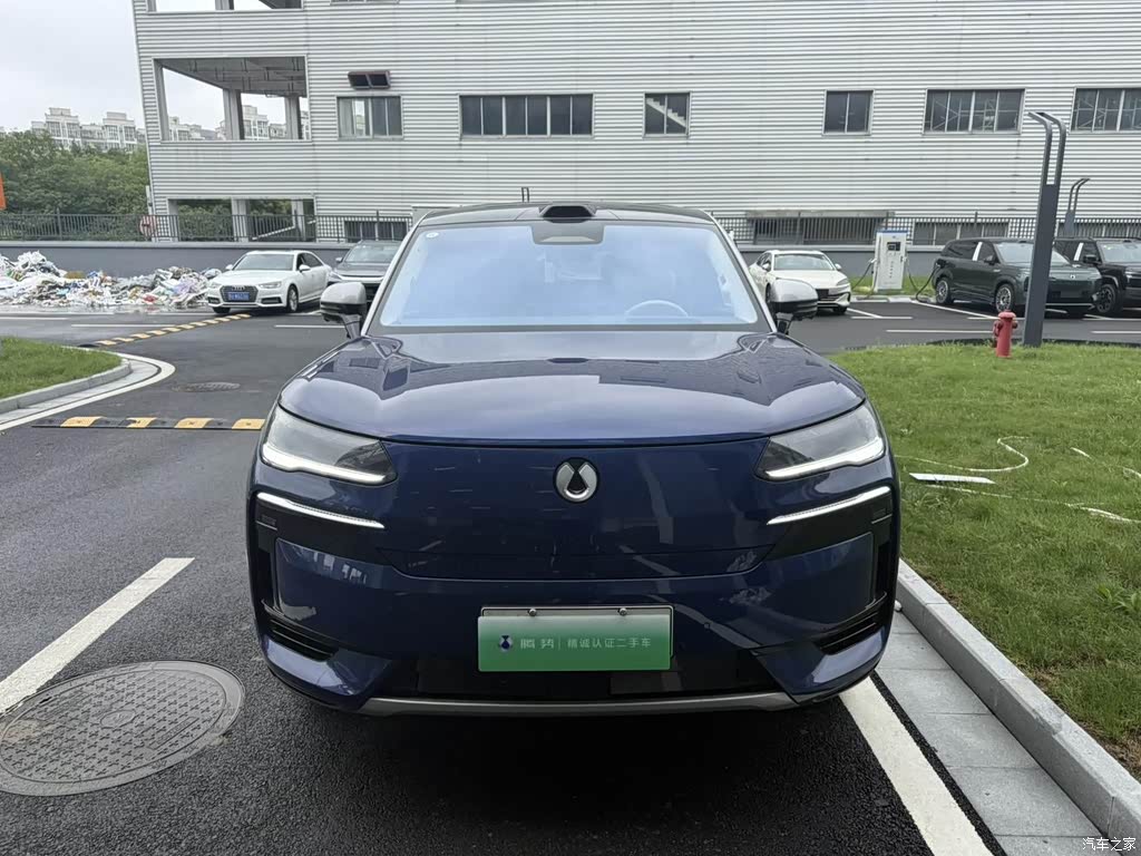 2025 Denza N9 Model Premium Excellence, фото 1, лот 10356367