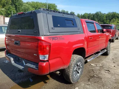 2023 TOYOTA TACOMA SR V6, фото 3, лот 10503513