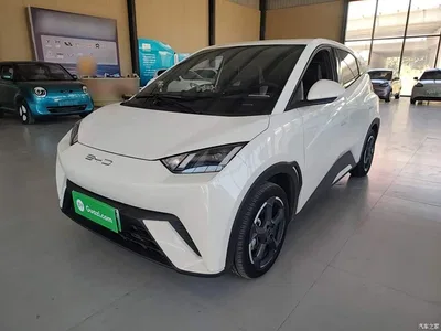 2023 BYD Seagull Freedom Edition, фото 1, лот 10389911