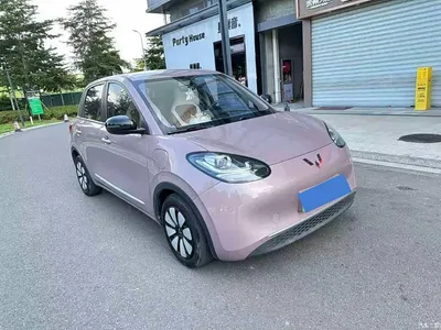 2023 Wuling Motors Wuling Bingo 333km Quick Enjoy Version, фото 3, лот 10367261