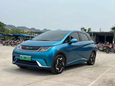 2021 BYD Dolphin Model 405km Fashion Edition, фото 1, лот 10886778