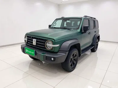 2021 Tank 300 Off-road Version 2.0T Conqueror, фото 1, лот 11188712