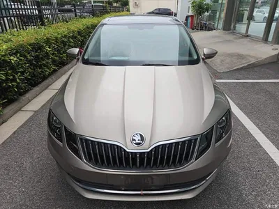2019 Škoda Octavia TSI230 DSG Zhixing Luxury Edition China VI, фото 3, лот 10451178