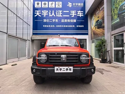 2023 Tank 300 Off-Road Edition 2.0T Challenger, фото 2, лот 10344261
