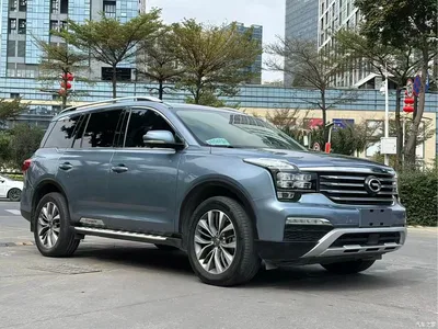 2017 GAC Trumpchi Trumpchi GS8 320T 2WD Luxury Smart Connect (7-seater), фото 3, лот 10416080