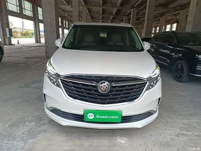 2020 Buick GL8 Model ES Landglory 653T Comfort, фото 3, лот 10258785