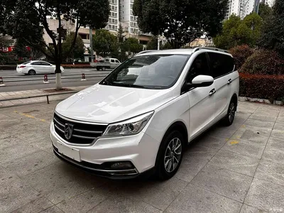 2019 Baojun 730 1.5L Manual Fashion Version 7-Seater China V, фото 1, лот 11163541