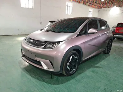 2021 BYD Dolphin Model 405km Fashion Edition, фото 1, лот 10764740