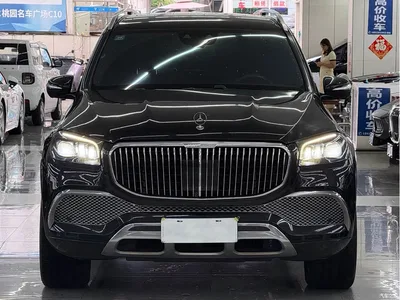2021 Mercedes-Benz Maybach GLS GLS 480 4MATIC, фото 2, лот 10479198