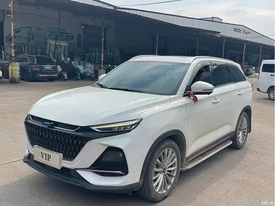 2022 Changan Oshan X7 PLUS 1.5T Blue Whale Edition Auto Executive, фото 1, лот 10407271