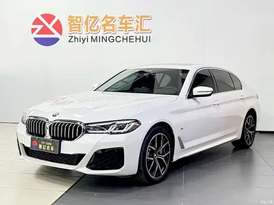 2023 BMW 5 Series 530Li Premium M Sport Package, фото 1, лот 10449434