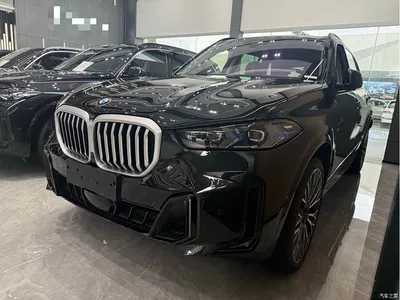 2023 BMW X5 xDrive 30Li Premium M Sport Black Night Package, фото 1, лот 11228539