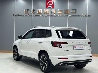 2022 Škoda Karoq TSI280 Luxury Edition, фото 4, лот 10348909