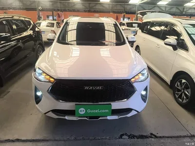 2019 Haval F7 2.0T 2WD i-Model China V, фото 3, лот 10284119