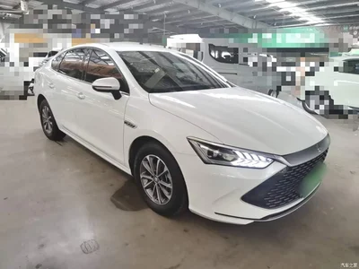 2024 BYD Qin PLUS Glory Edition DM-i 55KM Leading, фото 4, лот 11087369