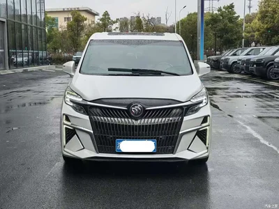 2021 Buick GL8 Land Business Class 652T Luxury, фото 2, лот 10255941
