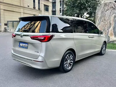 2020 Buick GL8 Model ES Landglory 653T Premium, фото 4, лот 10256632