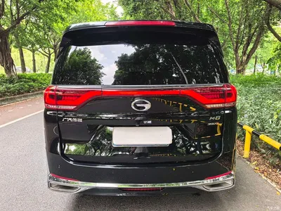 2021 GAC Trumpchi Trumpchi M8 Leading Show Series 390T Prestige Edition, фото 4, лот 11012270