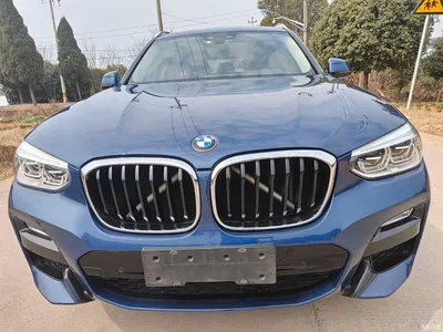 2018 BMW X3 xDrive25i M Sport Package China V, фото 1, лот 10879712