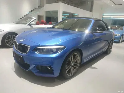2018 BMW 2 Series (Import) 225i Convertible Coupe M Sport, фото 1, лот 10471551