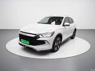 2023 BYD Song Pro New Energy Champion Edition DM-i 110KM Excellence, фото 1, лот 11132522