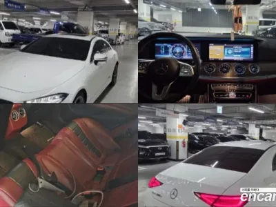 2019 Mercedes-Benz CLS-Class CLS300d AMG Line, фото 1, лот 10216385