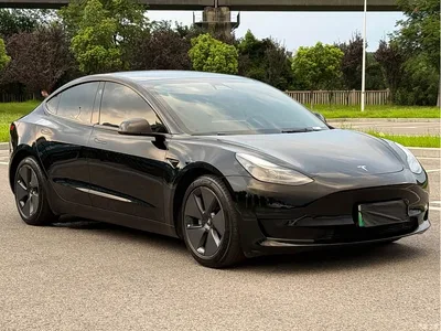 2021 Tesla Model 3 Standard Range Rear-Wheel Drive Upgrade 3D6, фото 3, лот 10352852