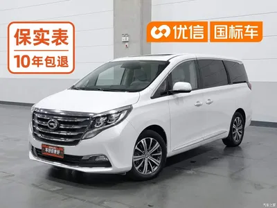 2018 GAC Trumpchi Trumpchi M8 320T Premium Edition, фото 1, лот 11106652
