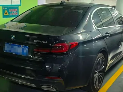 2023 BMW 5 Series Facelift 530Li Leading M Sport Package, фото 4, лот 11537048
