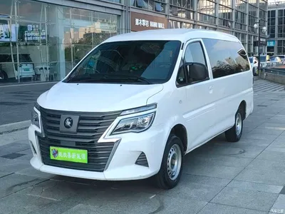 2023 Dongfeng Lingzhi New Energy Passenger Classic Edition 5-Seater, фото 1, лот 11151838