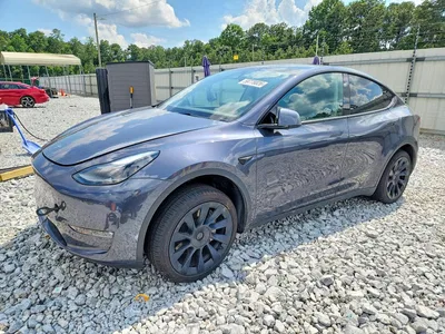 2023 TESLA MODEL Y, фото 1, лот 10851735