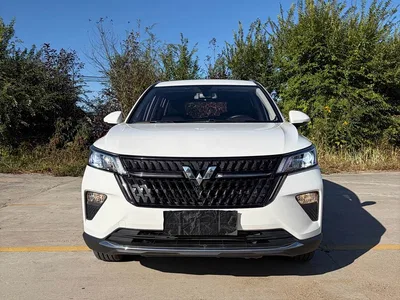 2021 Wuling Motors Wuling Xingchen 1.5T Manual Star Edition, фото 2, лот 11144486