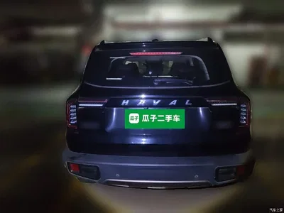 2022 Haval Big Dog 1.5T DCT FWD Border Collie Edition, фото 3, лот 11140375