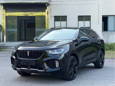 2017 WEY VV5 2.0T Flagship Model, фото 1, лот 10451335